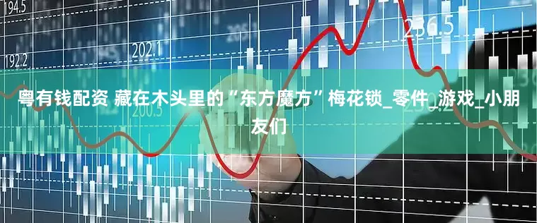 粤有钱配资 藏在木头里的“东方魔方”梅花锁_零件_游戏_小朋友们