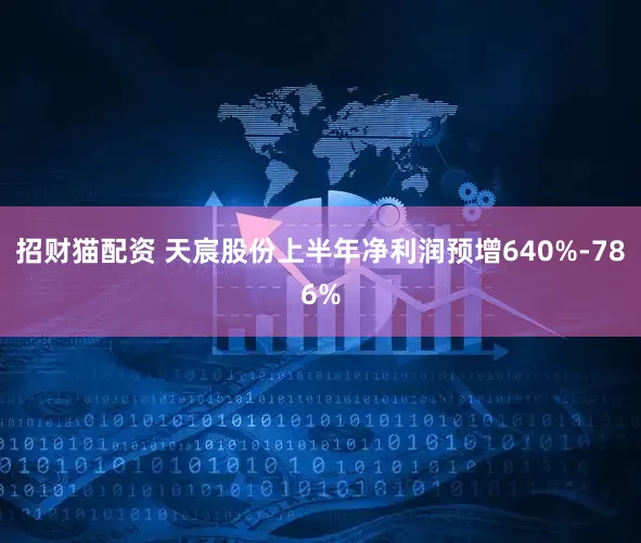招财猫配资 天宸股份上半年净利润预增640%-786%