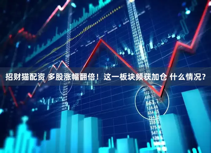 招财猫配资 多股涨幅翻倍！这一板块频获加仓 什么情况？