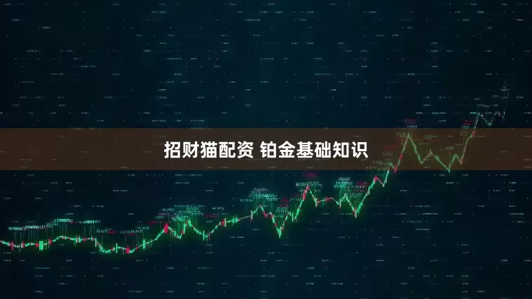 招财猫配资 铂金基础知识